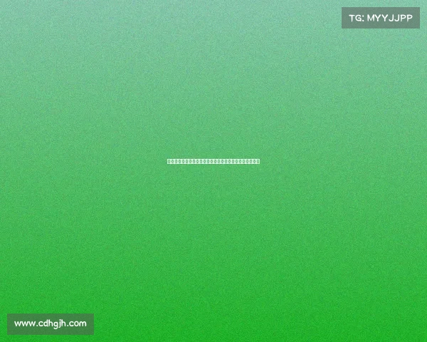 航模爱好者必看：深入解析国内外赛事体系技巧与未来趋势